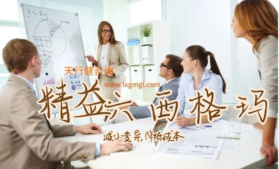 公共部門中運(yùn)用精益六西格瑪?shù)牟襟E！